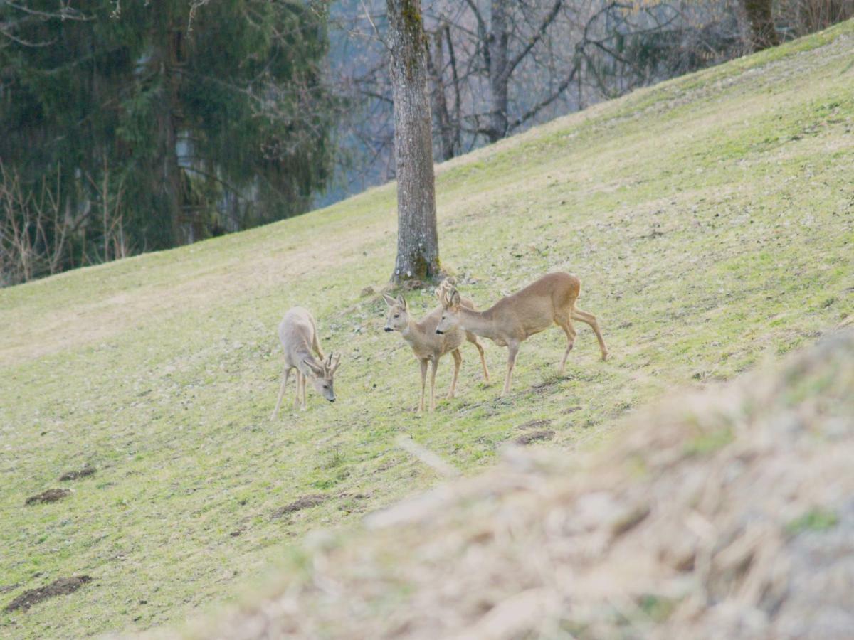 Haus Gruener Wald Apartment บาร์โธโลเมแบร์ก ภายนอก รูปภาพ