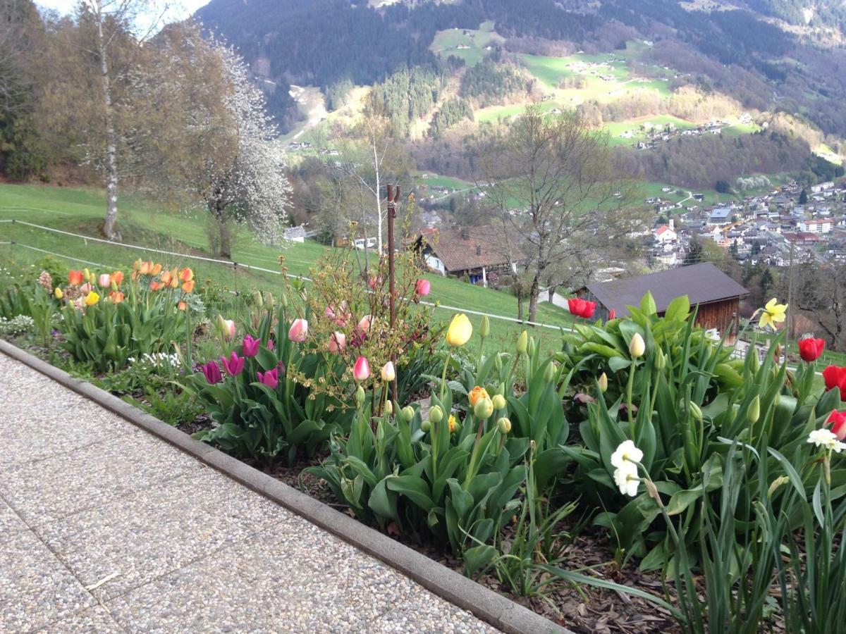 Haus Gruener Wald Apartment บาร์โธโลเมแบร์ก ภายนอก รูปภาพ